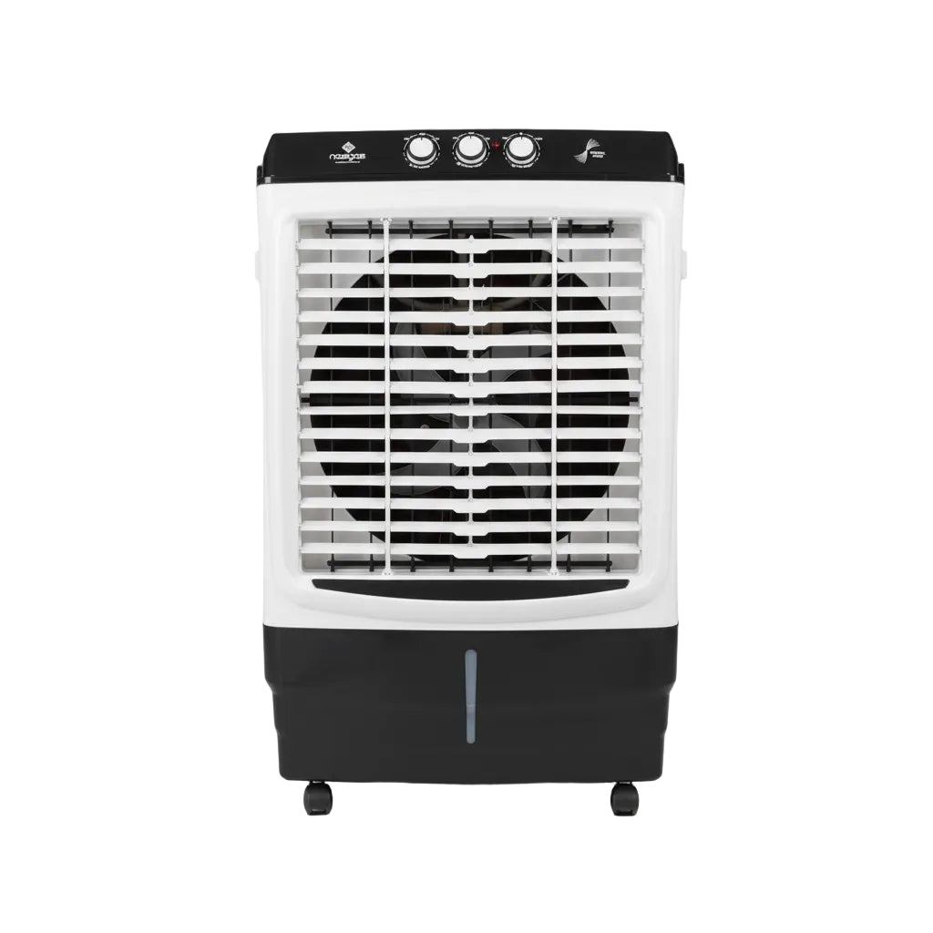 Air Coolers