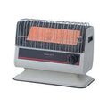 Nasgas DG-790 Auto Gas Heater